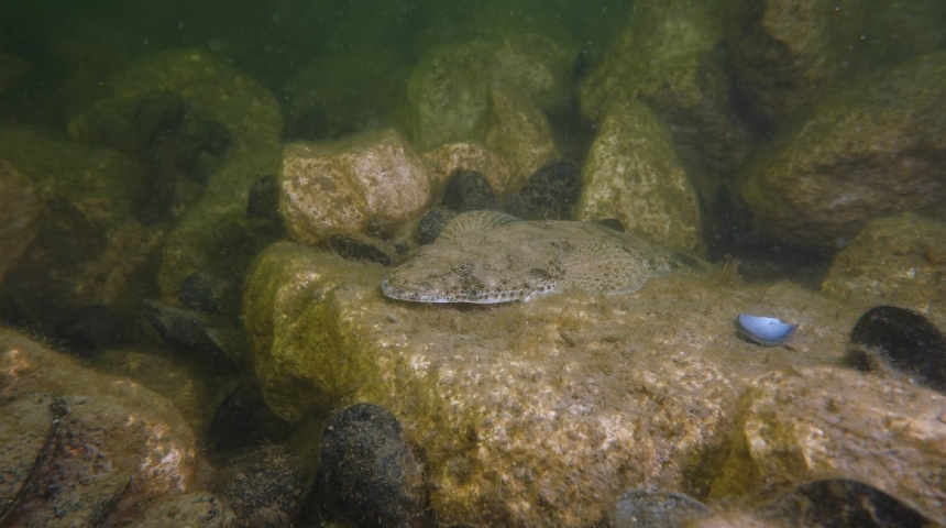 Scott_Breschkin, The Nature Conservancy