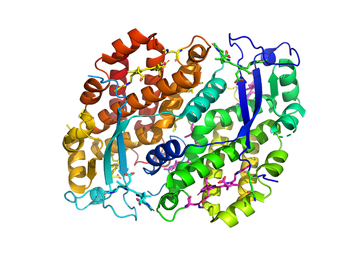 Picture: UNSW Sydney