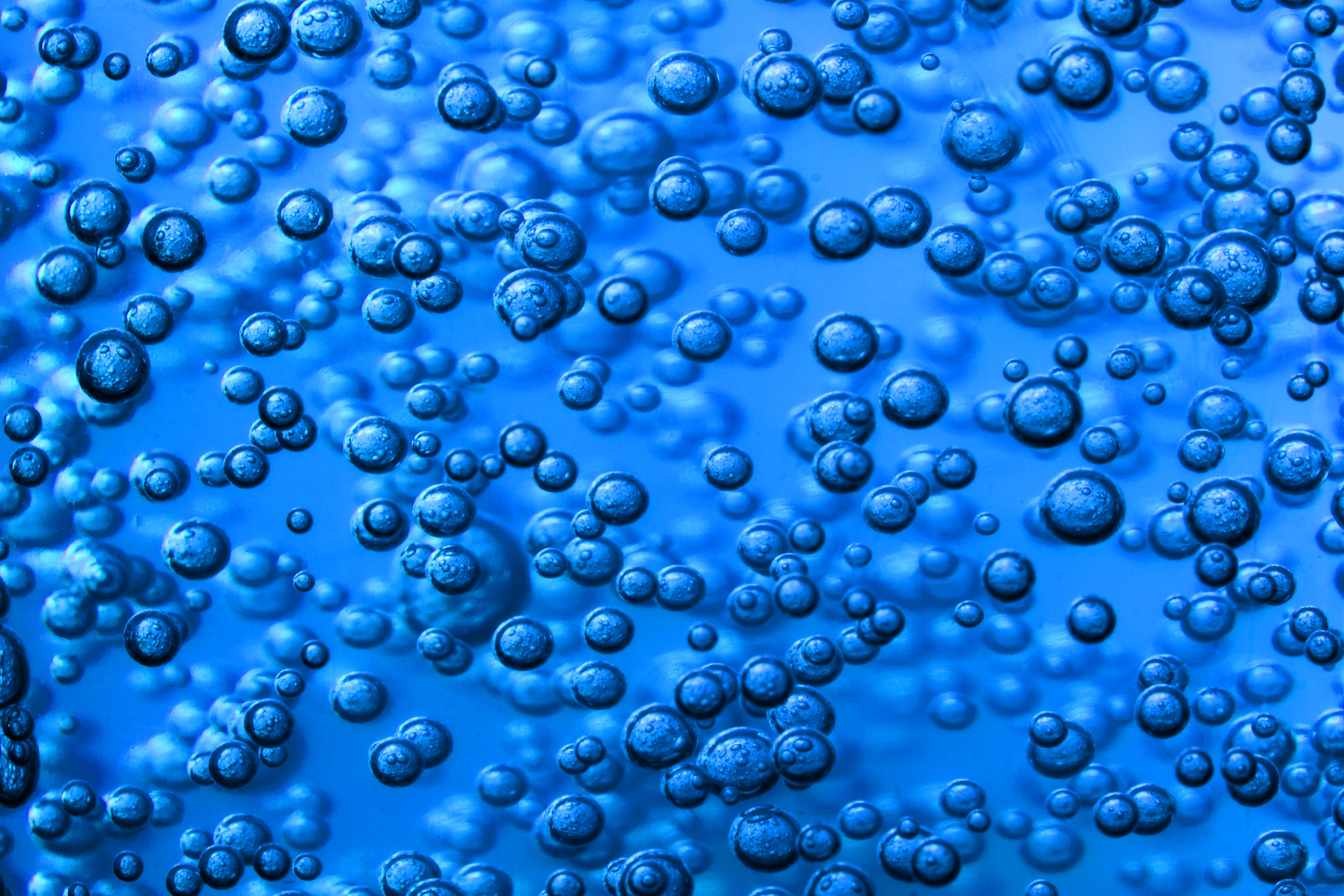 Credit: Shutterstock