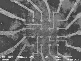 Electrodes interacting with the nanowire network