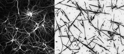 Neural network (left), nanowire network (right). Credit: Loeffler et al.