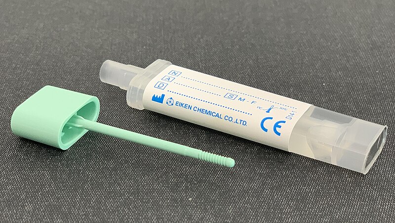 Image by Whispyhistory via Wikimedia Commons. CC BY-SA 4.0 https://creativecommons.org/licenses/by-sa/4.0/