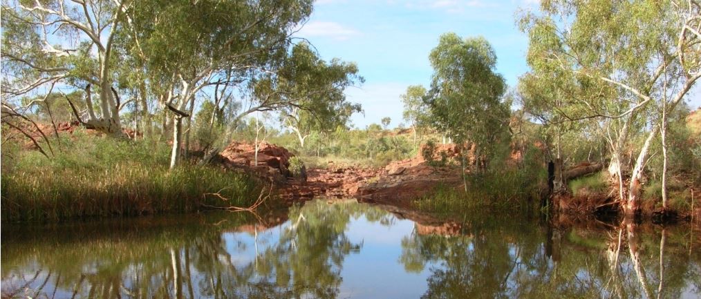 Permanent waterholes in arid Australia are sustained by groundwater. photo Flinders University 
