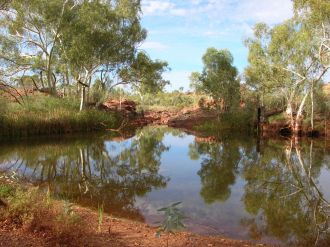 Permanent waterhole 