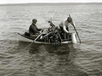 Historic oyster fishing 