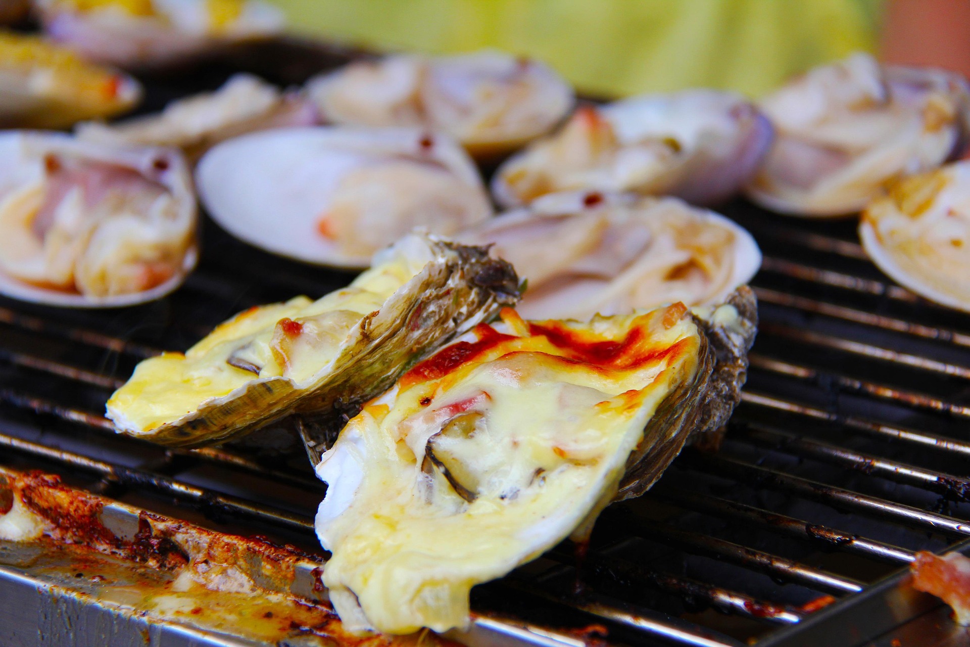  Exotic Pacific oysters are farmed in Australian aquaculture. Sharon Ang from Pixabay