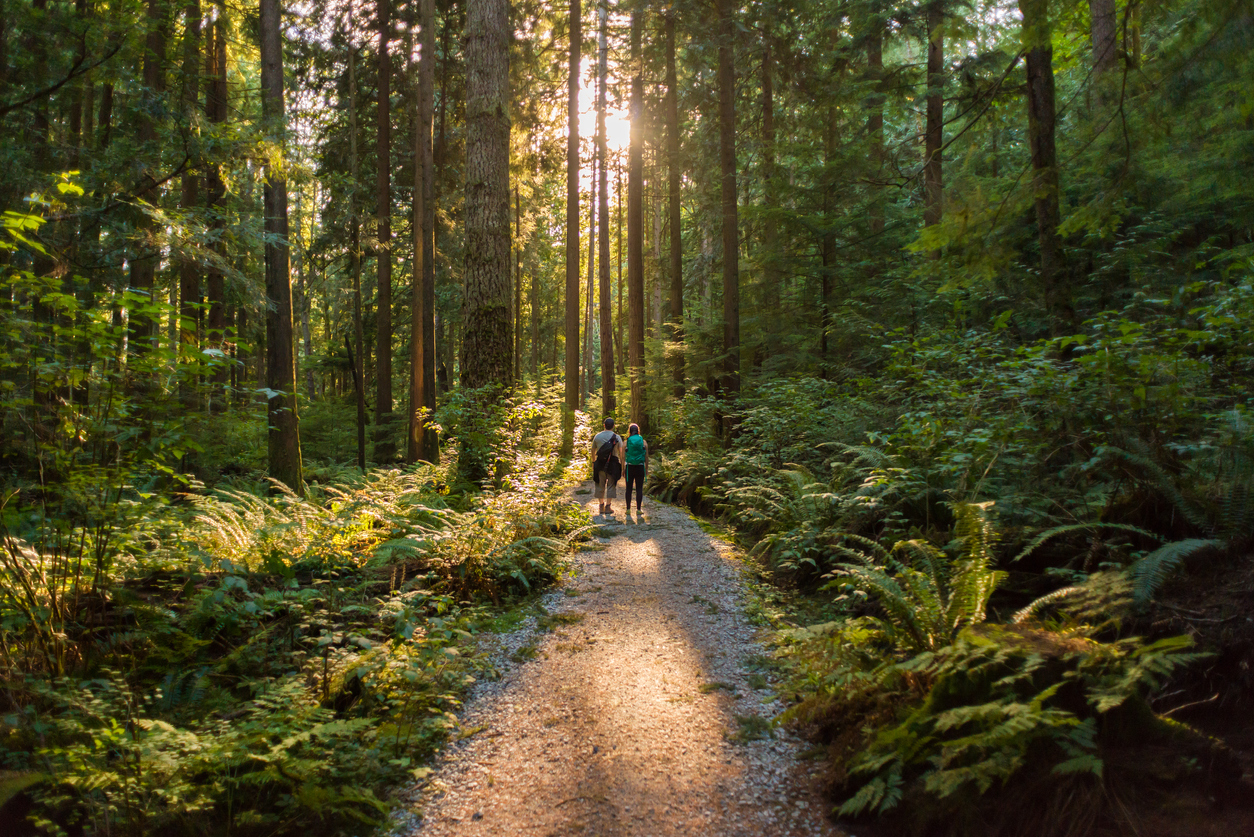 Time in nature has a range of mental and physical health benefits. Photo: iStock.
