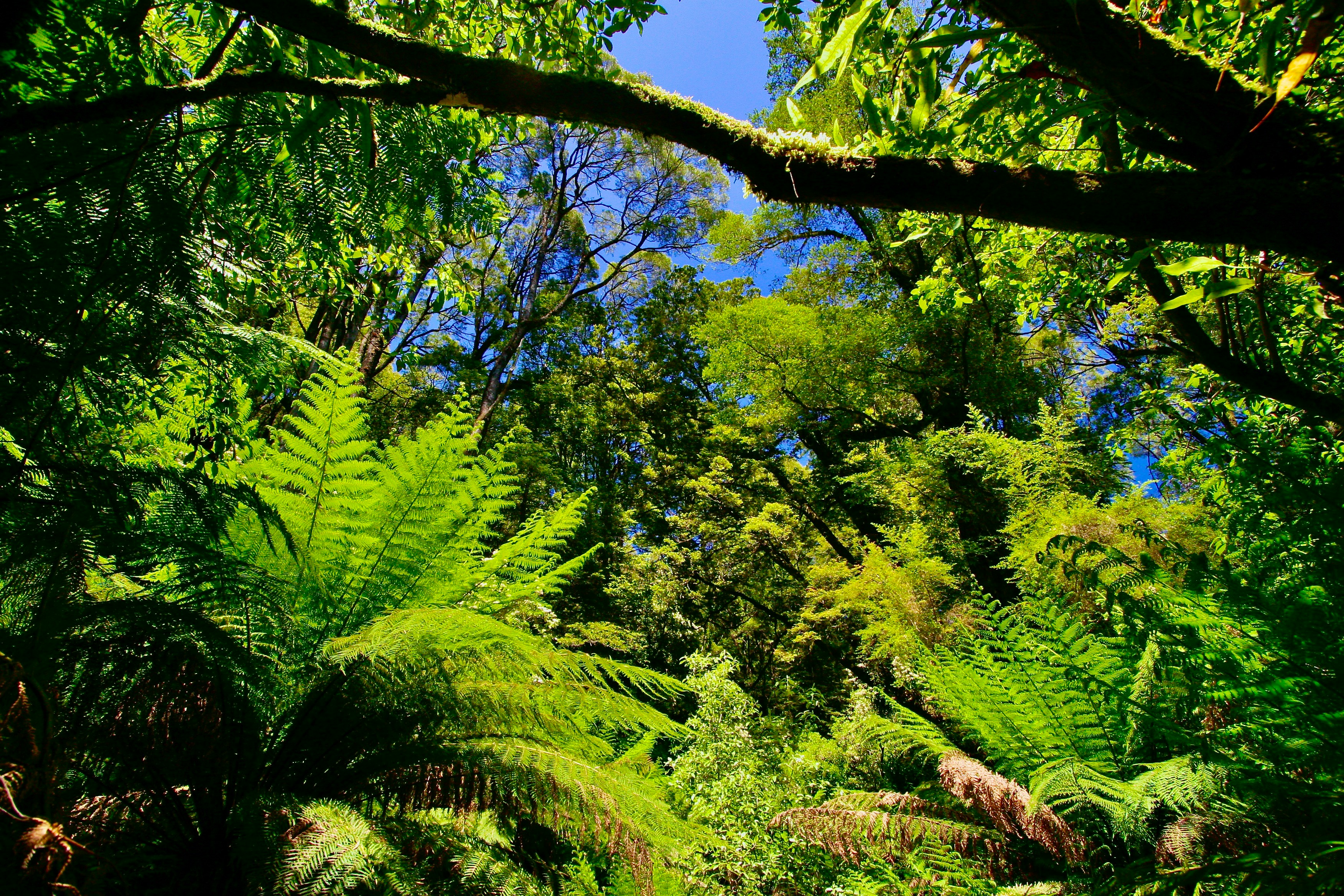 Photo by James Wainscoat on Unsplash