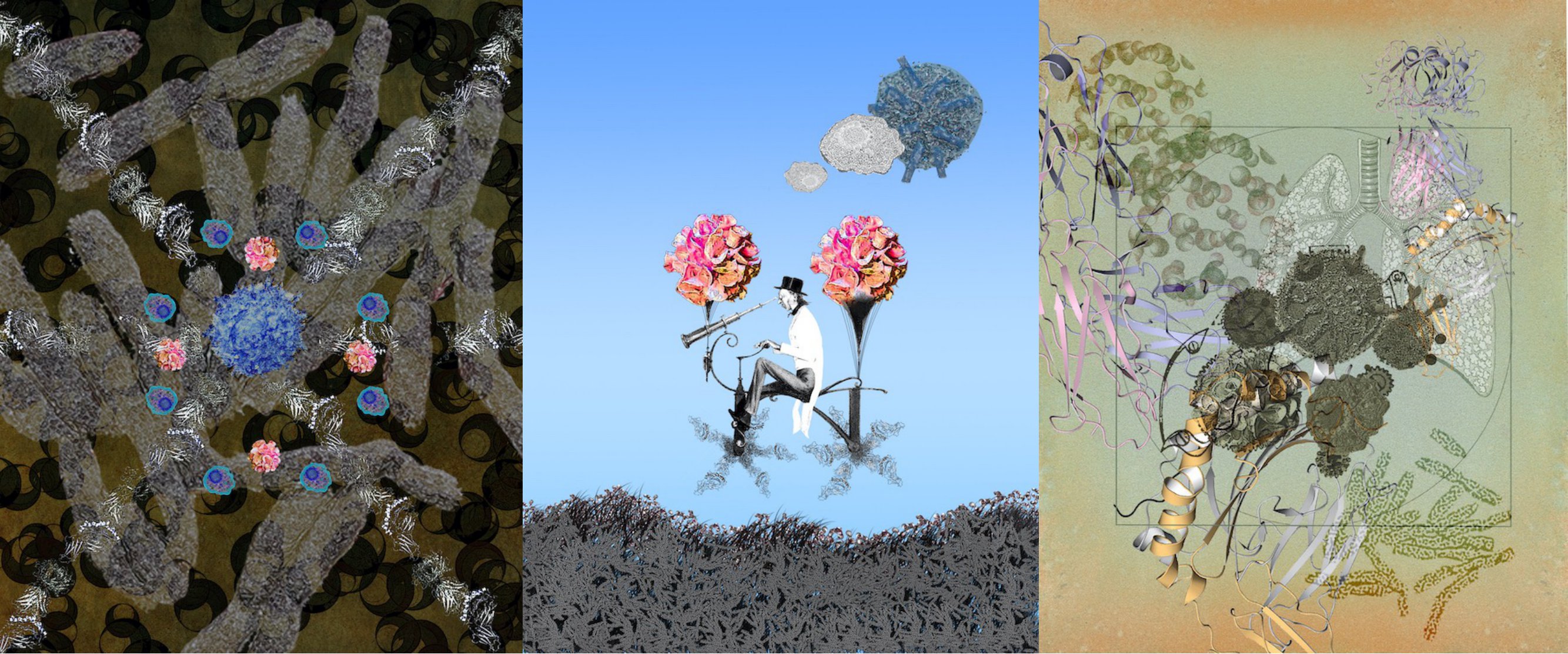 Neutralizing the bacterially derived cytotoxic bomb, left, Surveying the bacterial horizon, middle, Fighting against the bacteria we breathe, right. Credit Dr Erica Tandori.