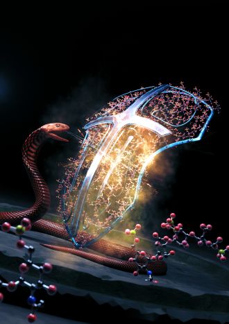 Red Spitting Cobra and Heparin Shield