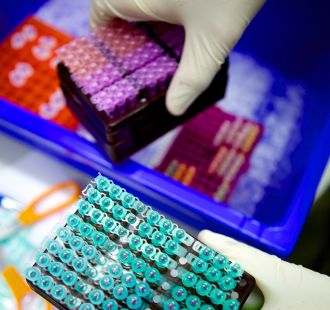 A new report has called for increased diversity in cell lines