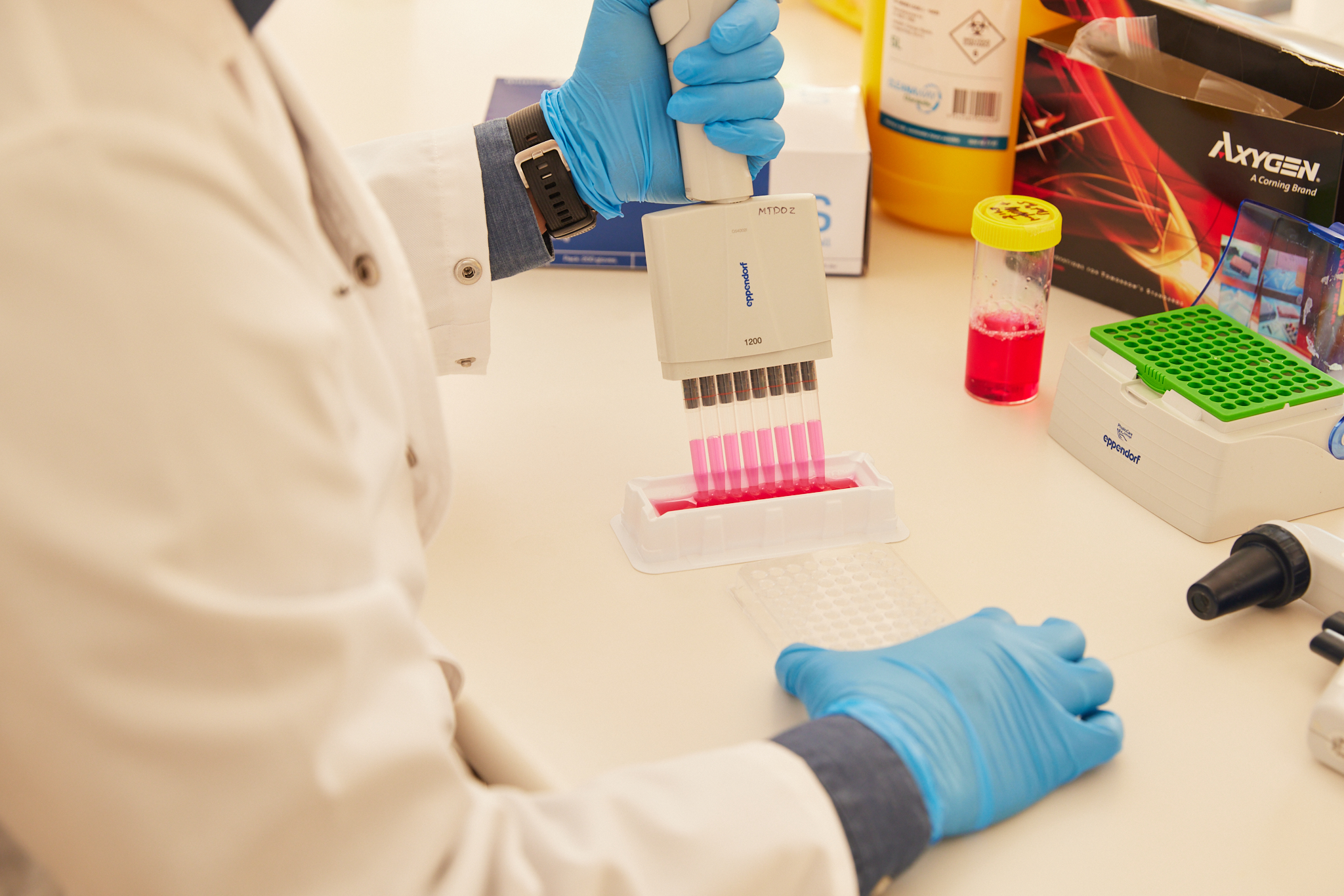 Drug discovery - supplied by Monash University