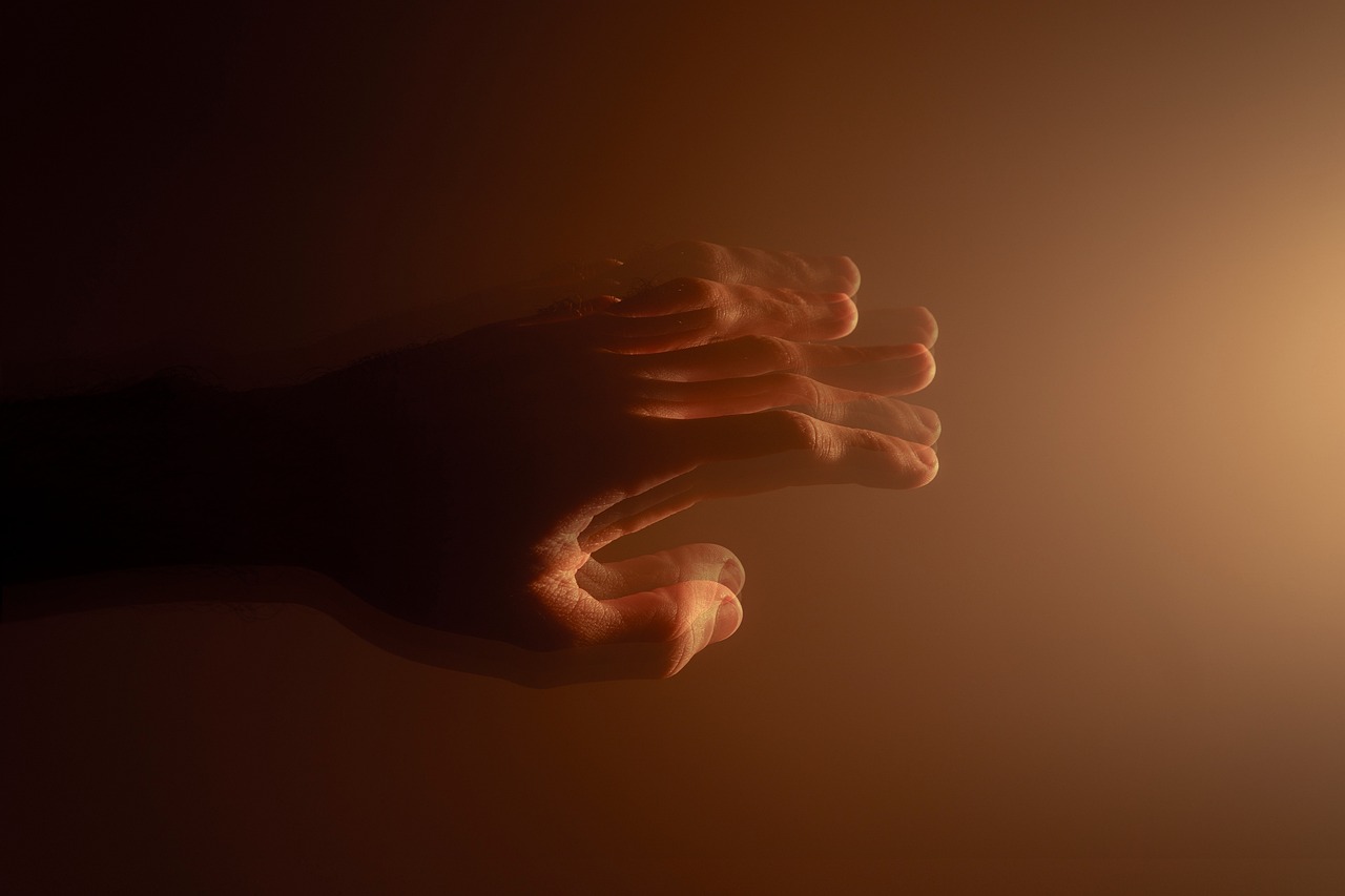 Image by Annick Vanblaere from Pixabay