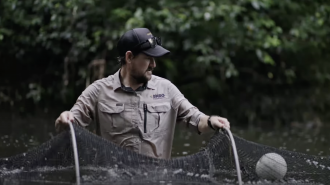 A still from the new film by the Burnett Mary Regional Group. 