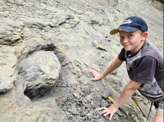 David during fossil collection
