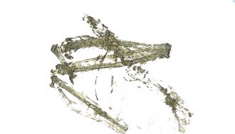 Zealandian Tropicbird wing medical BOTTOM