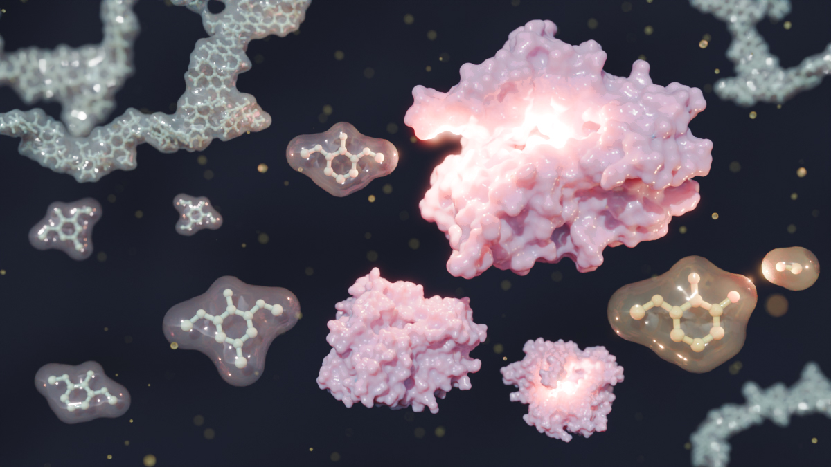 The newly identified enzyme highlighted in pink. Credit: University of Adelaide.