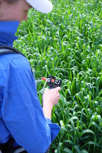 PhD student Ruby Hume taking measurements in the field.