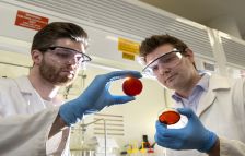 Researchers Worthington  and Chalker