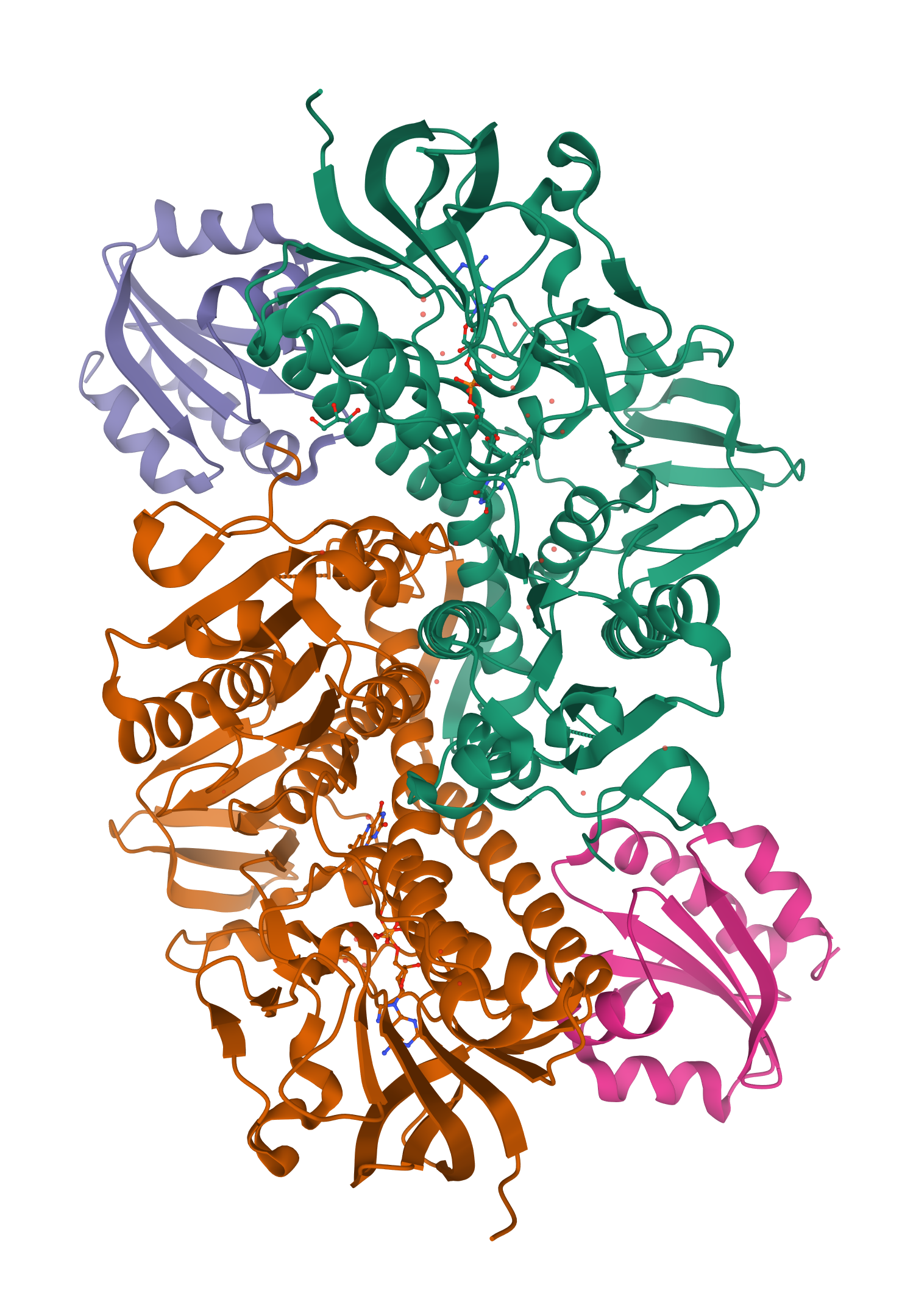 Plasmodium falciparum thioredoxin reductase-thioredoxin complex