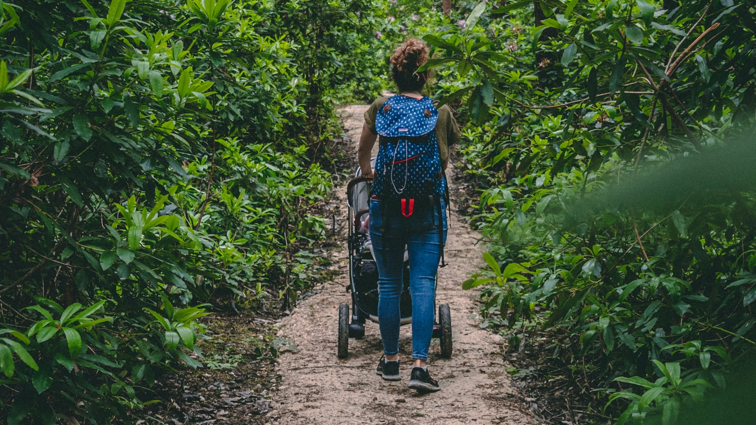 Photo by Dan Smedley on Unsplash