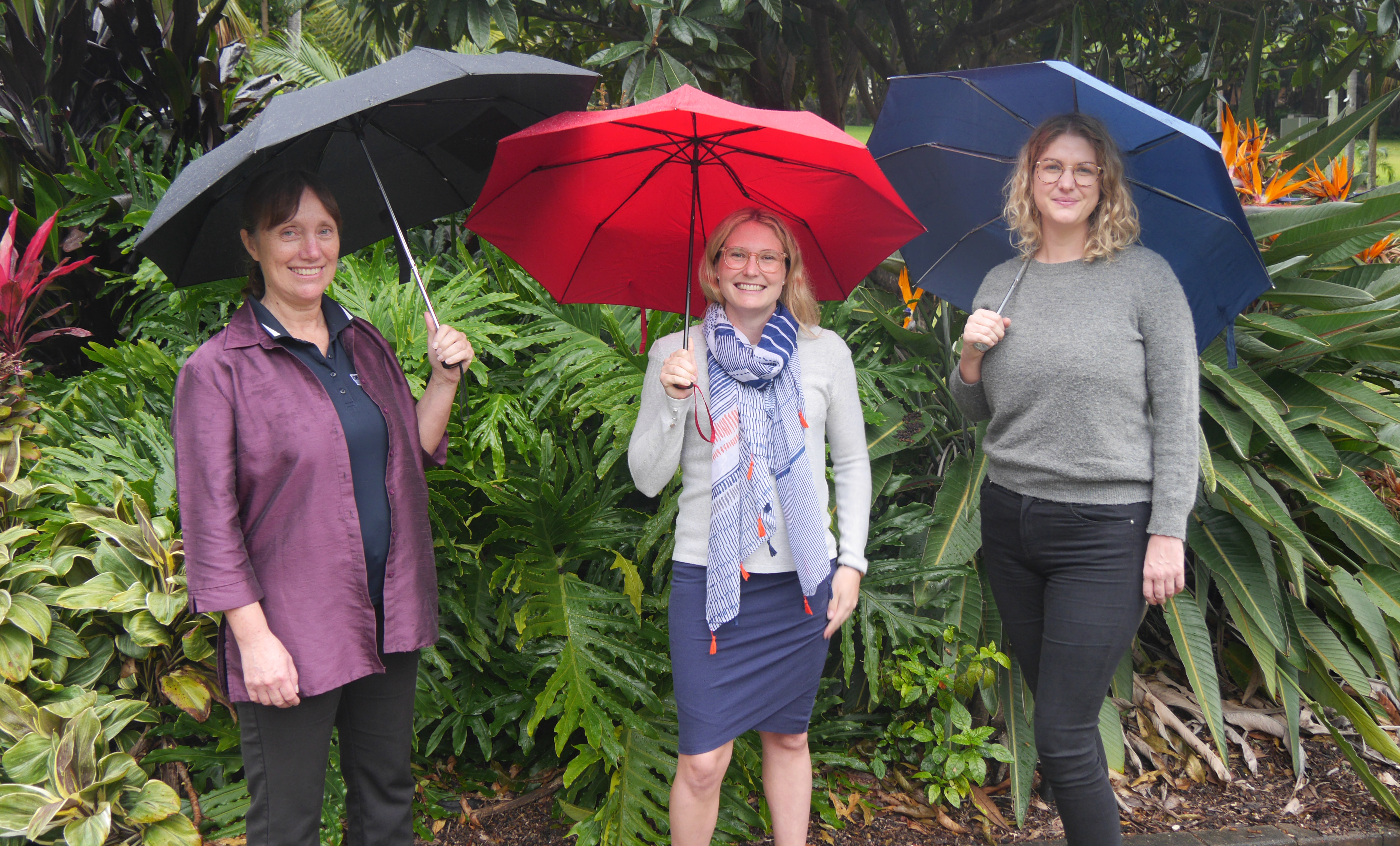 Distinguished Professor Kerrie Mengersen, Dr Jacinta Holloway-Brown, Dr Kate Helmstedt developed a mathematical model that accurately detected simulated land cover change under both clear felling and tree thinning.