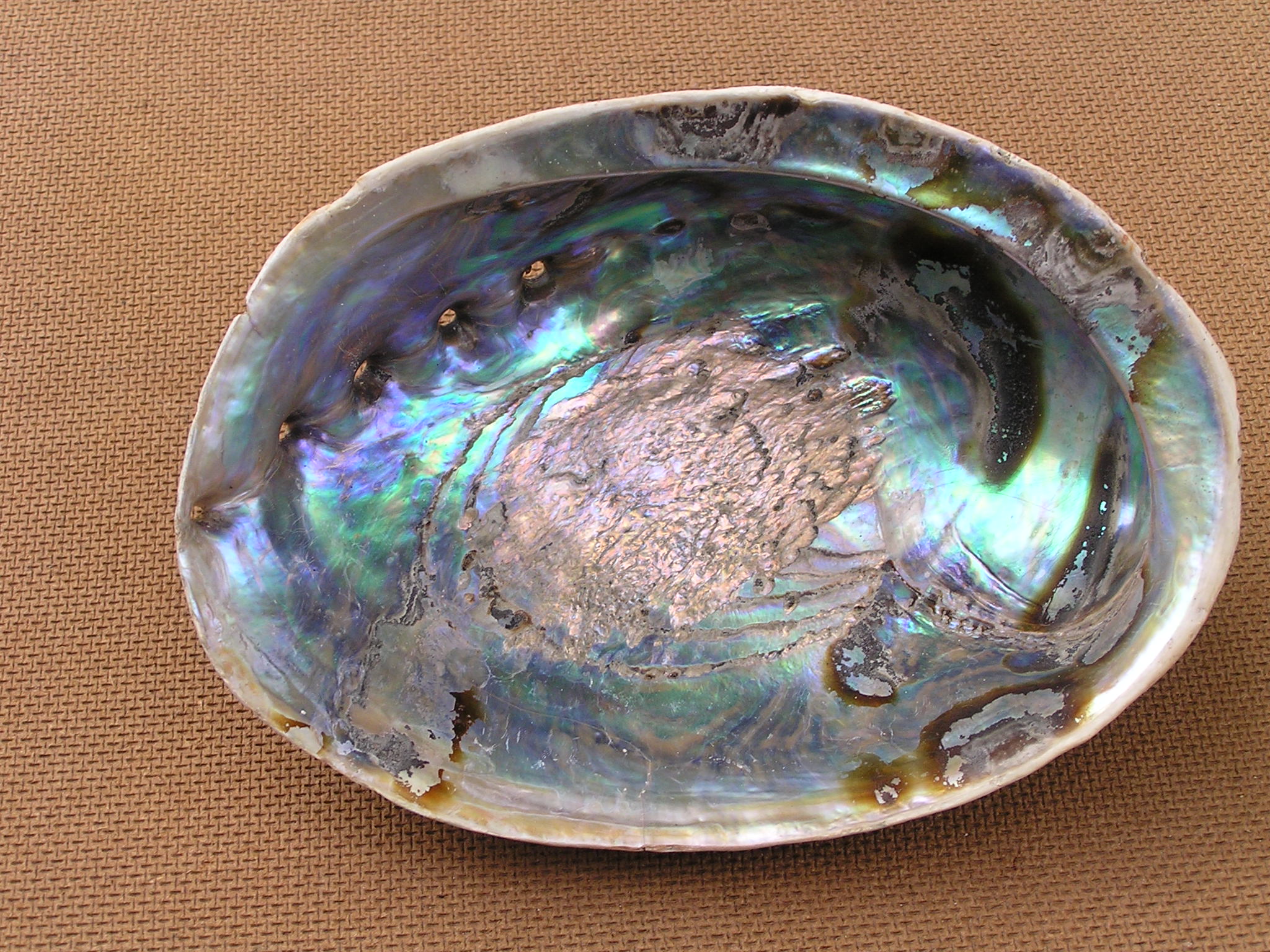 PHOTO: By Jan Delsing - Public Domain, https://commons.wikimedia.org/w/index.php?curid=8242532
