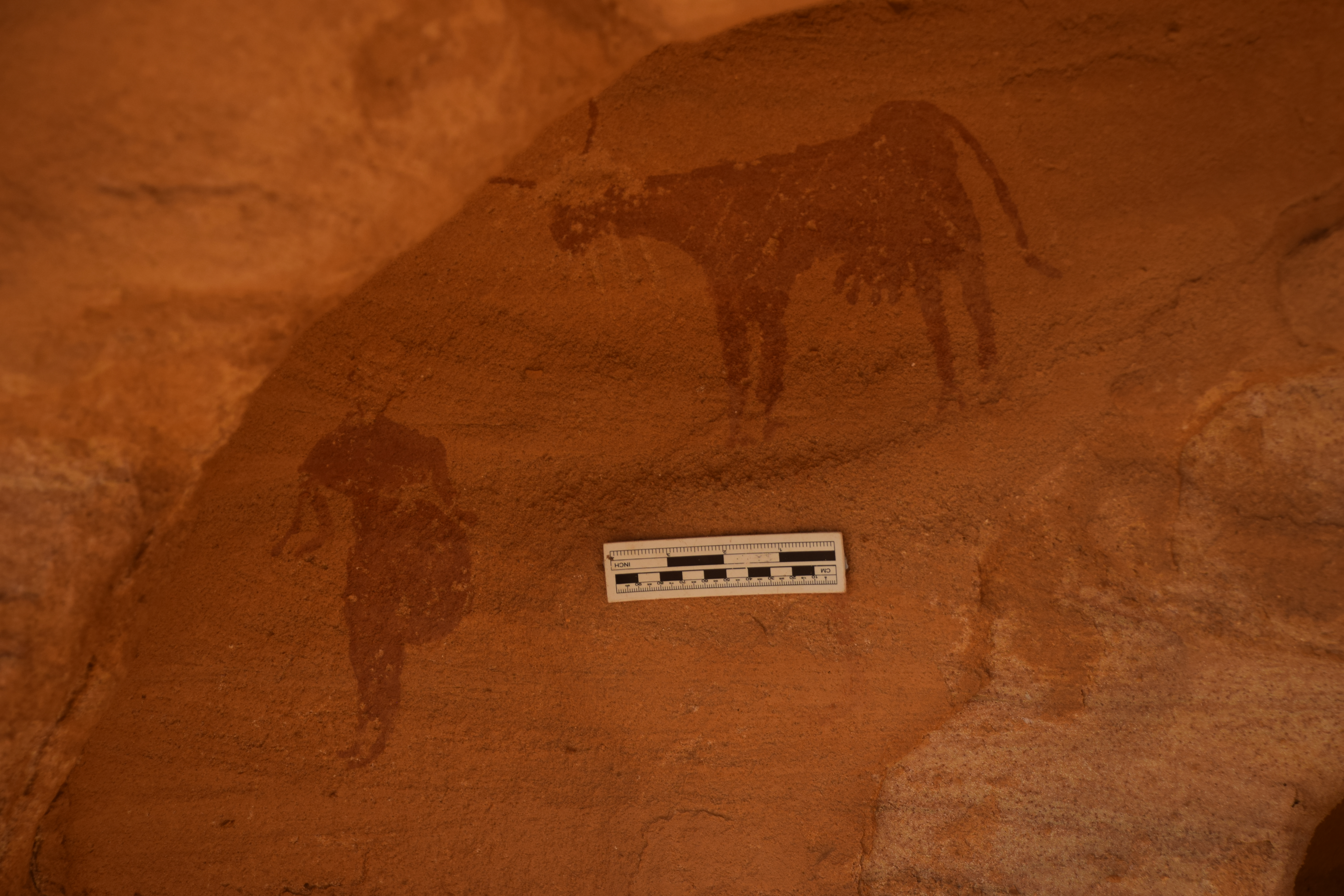 A rare cast of a red-painted cow in a rock shelter, accompanied by a man