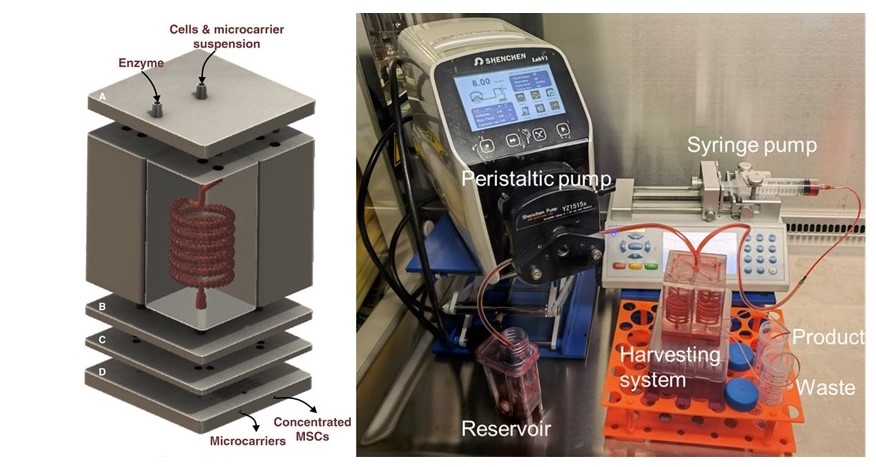 Modular 3D printed microfluidic system. Image: Majid Warkiani et al. Bioresources and Bioprinting 2022.