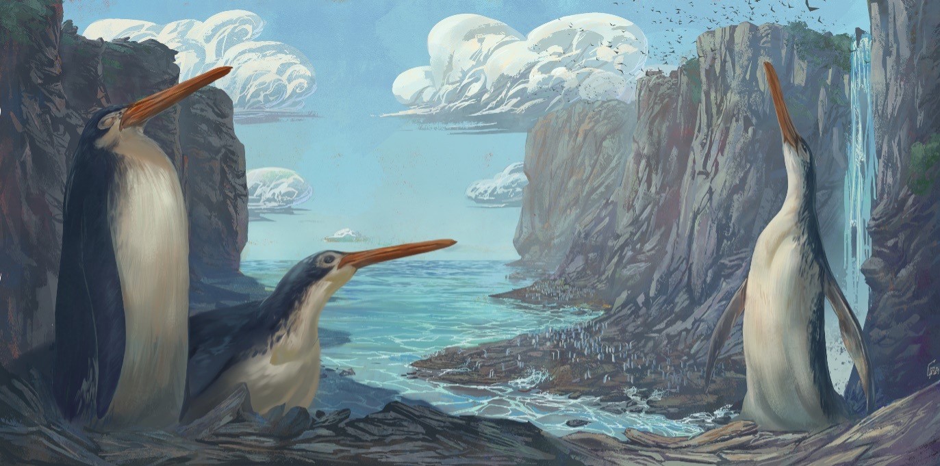 Illustration by Simone Giovanardi