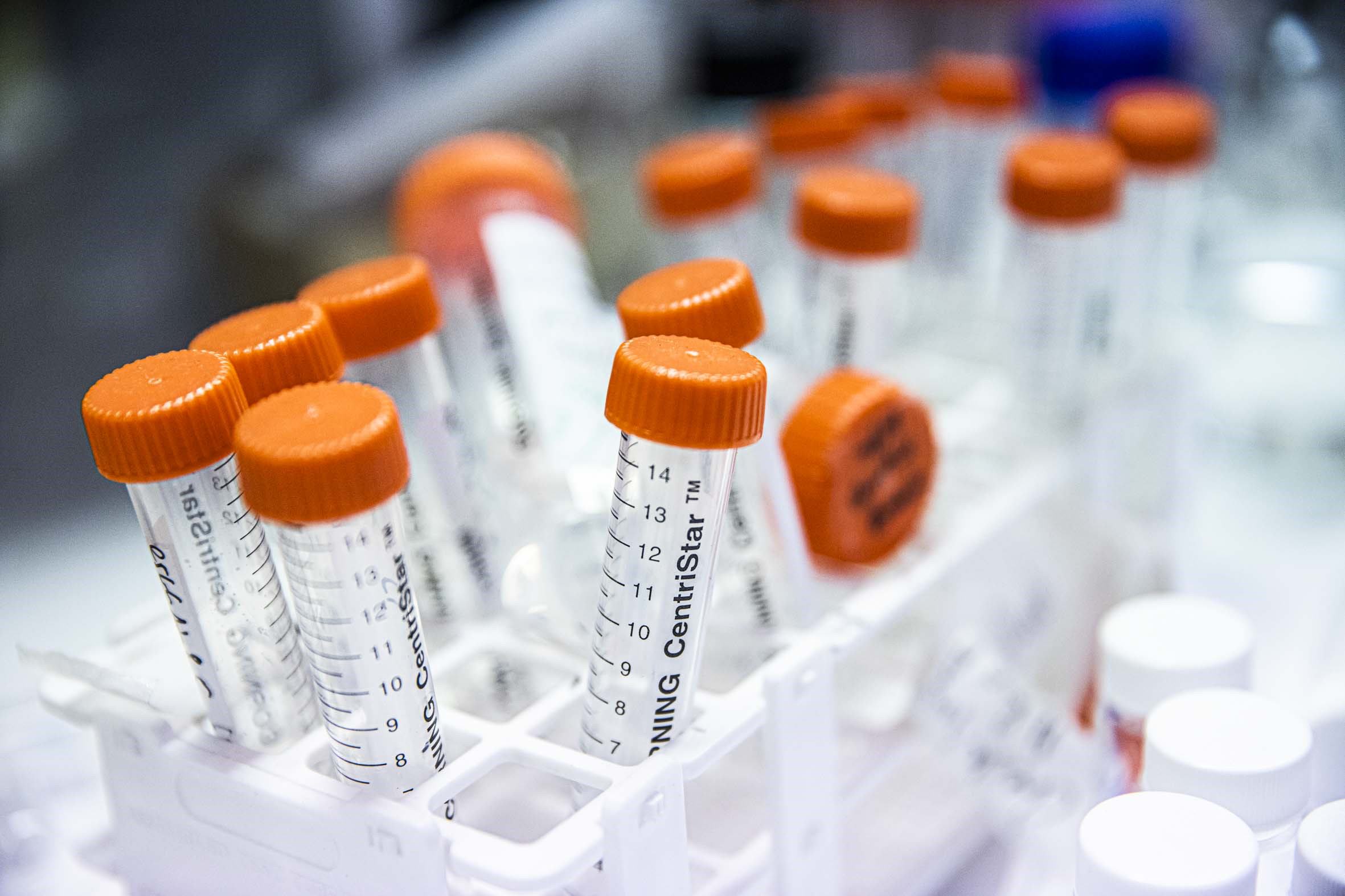 Supplied by The Florey