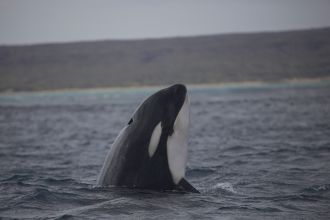 Ningaloo Reef