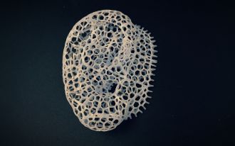 Ear-shaped bioscaffold