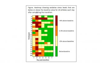 Oxidative stress test - heatmap