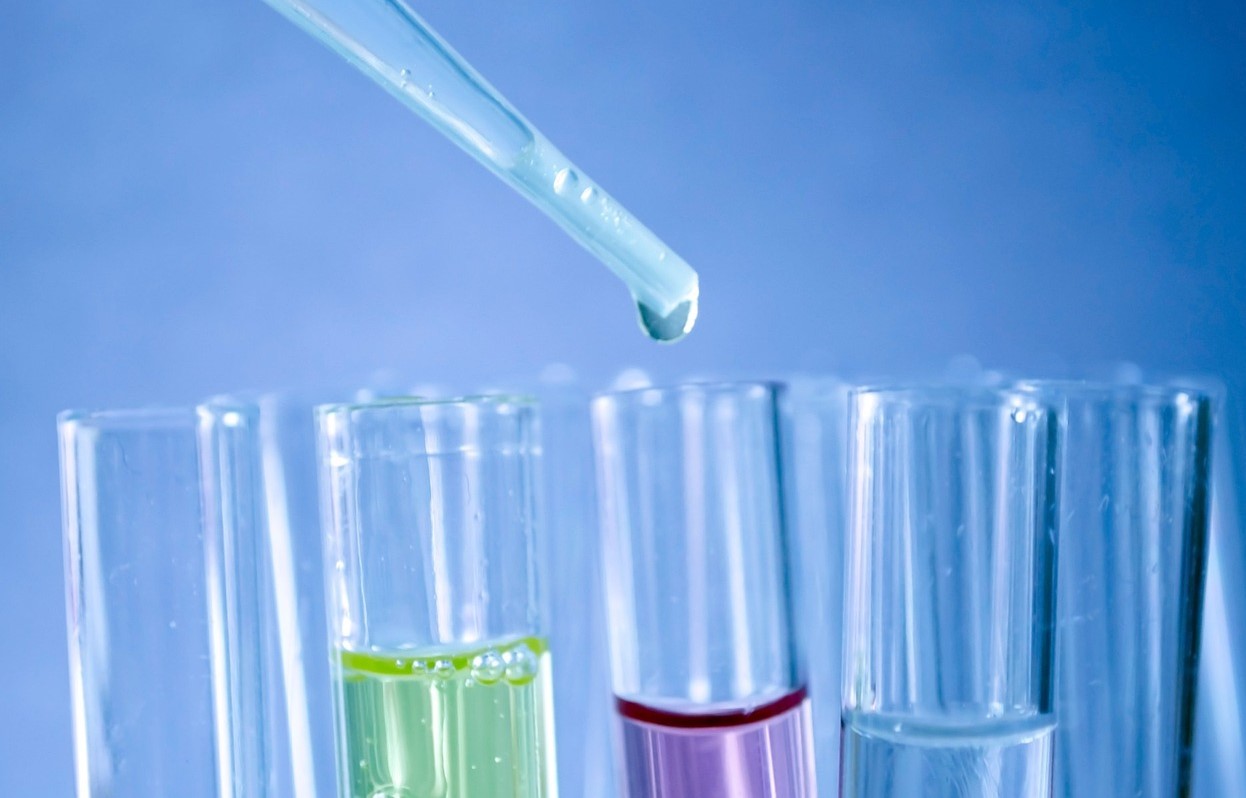 Image by PublicDomainPictures from Pixabay 