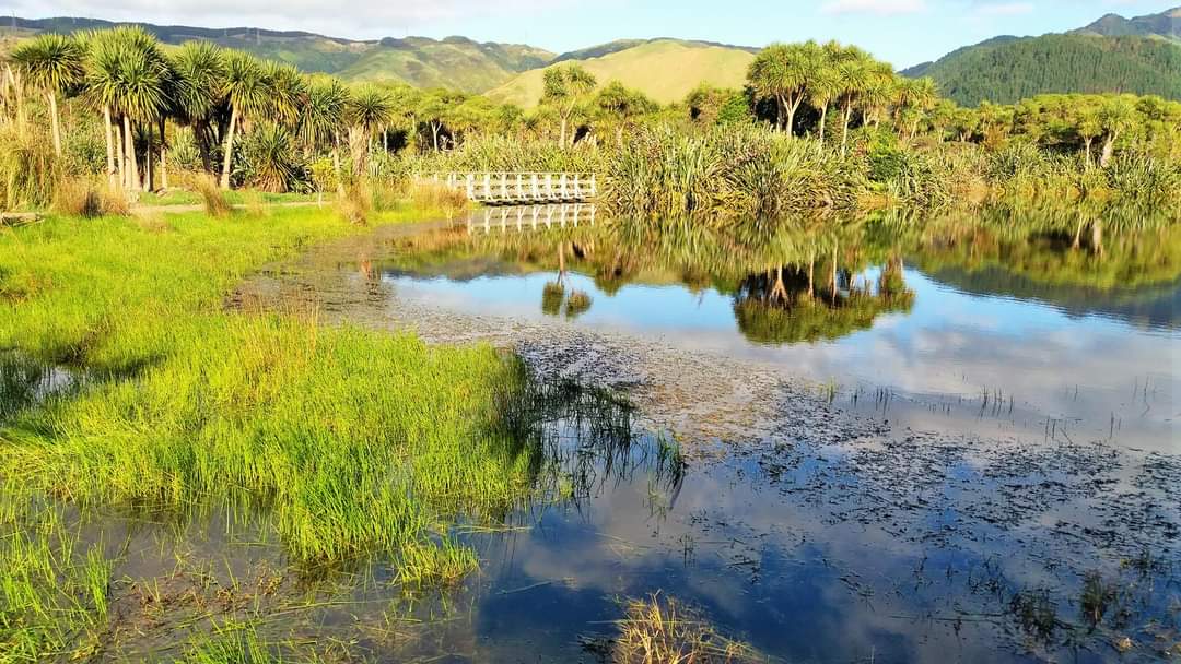 Credit: Louise Thornley