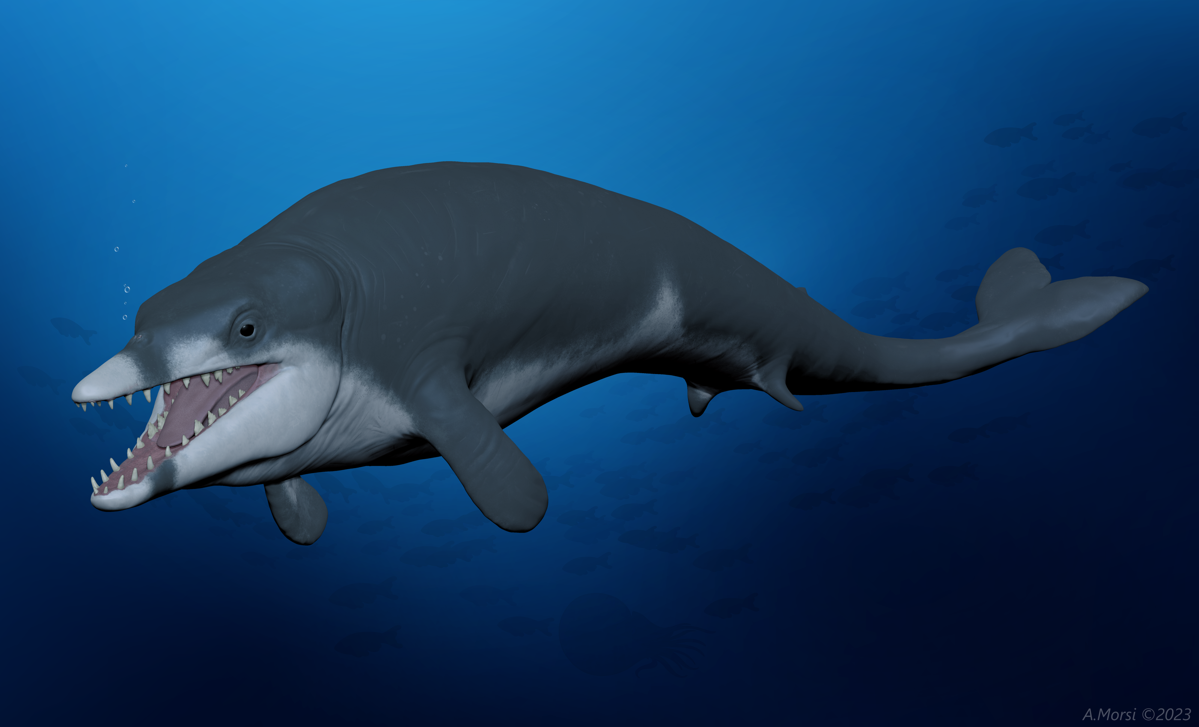 Life reconstruction of the extinct basilosaurid whale Tutcetus rayanensis swimming in the Tethys Ocean of present-day Egypt, 41 million years ago. Credit: Ahmed Morsi and Hesham Sallam.