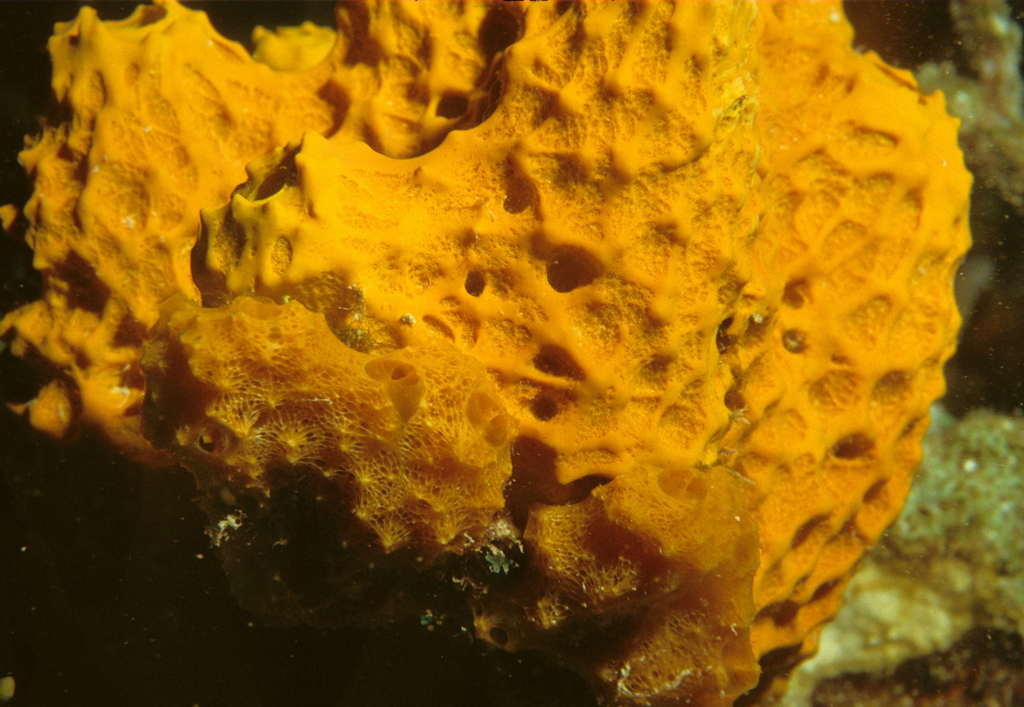 Photo by NOAA on Unsplash
