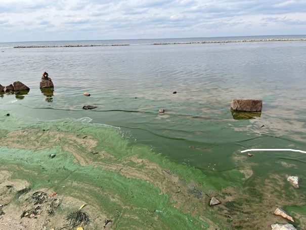 Eutrophication in the Kyiv Reservoir. Credit: Maryna Strokal