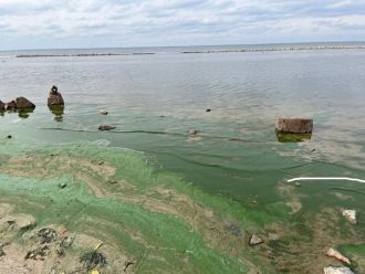 Eutrophication in the Kyiv Reservoir