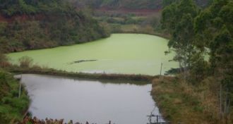 Eutrophication in a lake in China