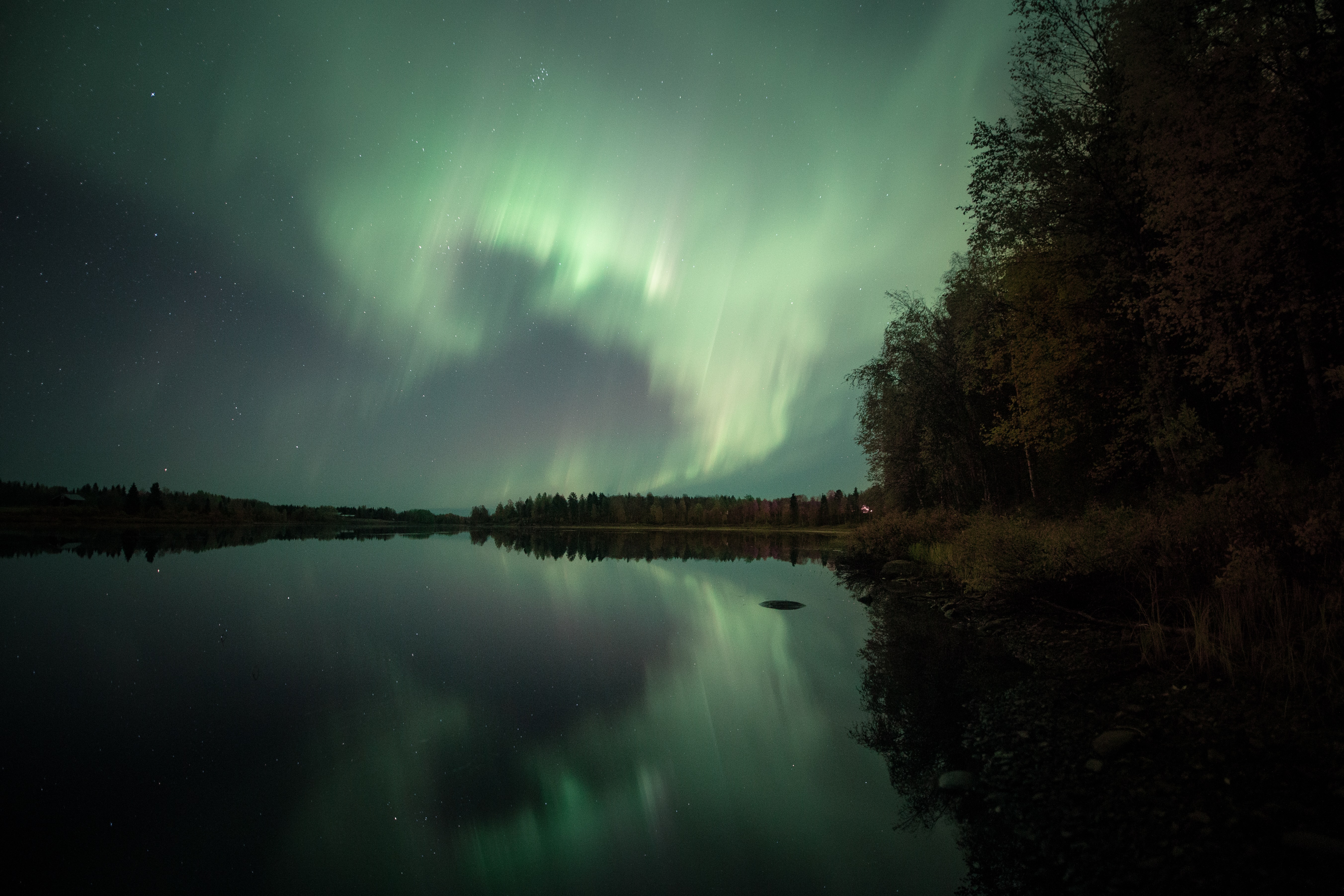 Photo by Sami Takarautio on Unsplash