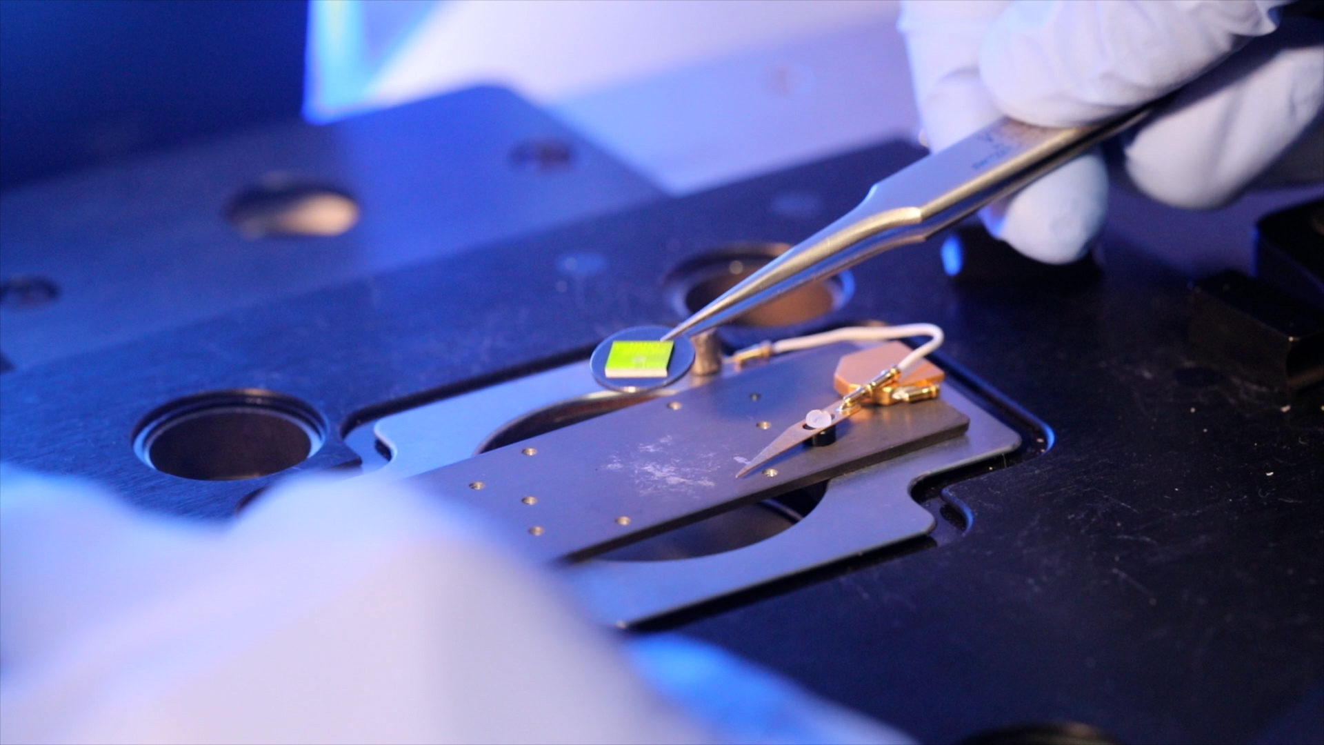 courtesy UNSW Sydney & Grant Turner (Mediakoo) 