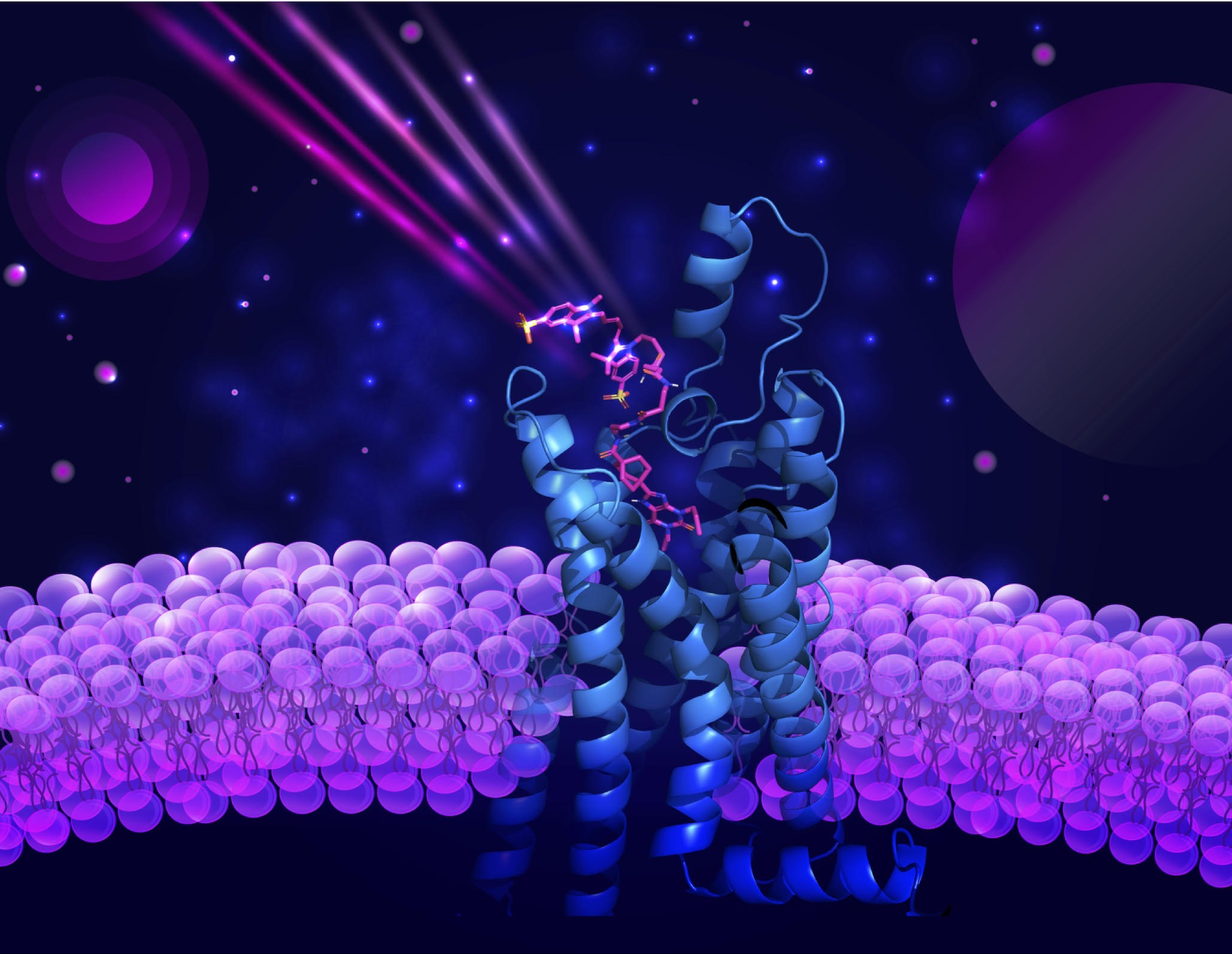 Image supplied by Monash University