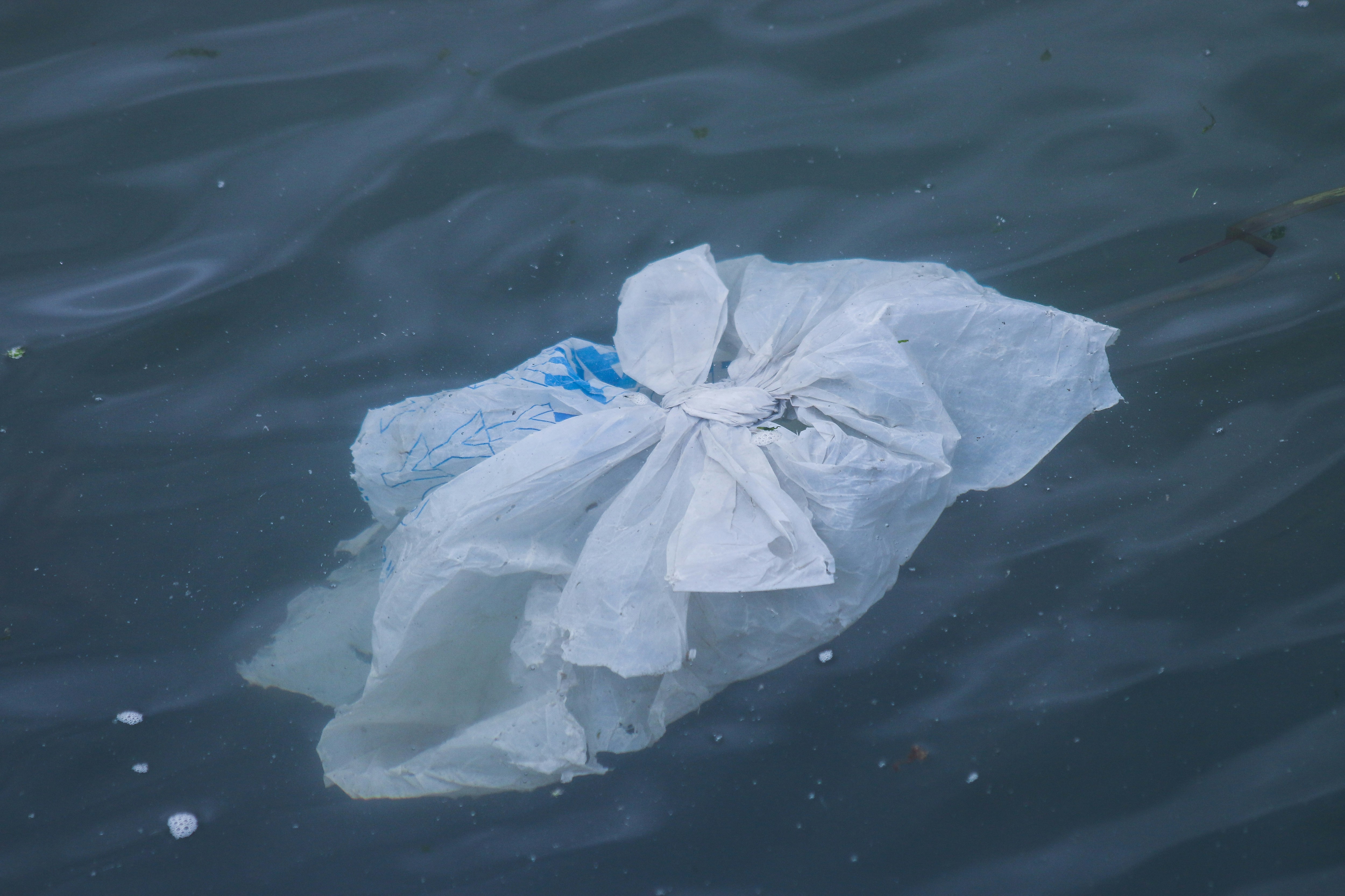 Up to 11 million tonnes of plastic waste sinks from the ocean surface to the ocean floor, where it accumulates. Credit: Brian Yurasits, Unsplash