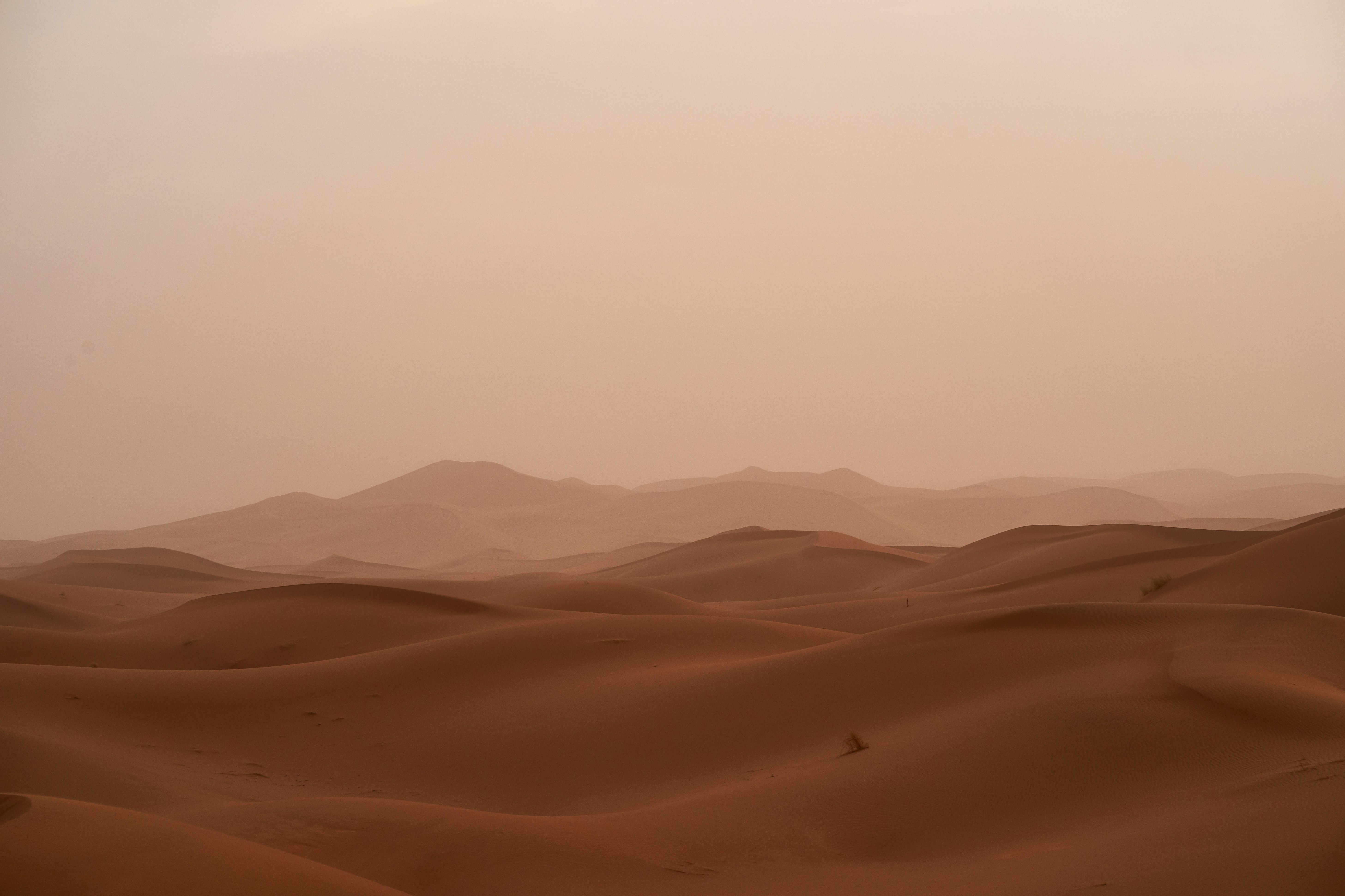 Photo by Wolfgang Hasselmann on Unsplash