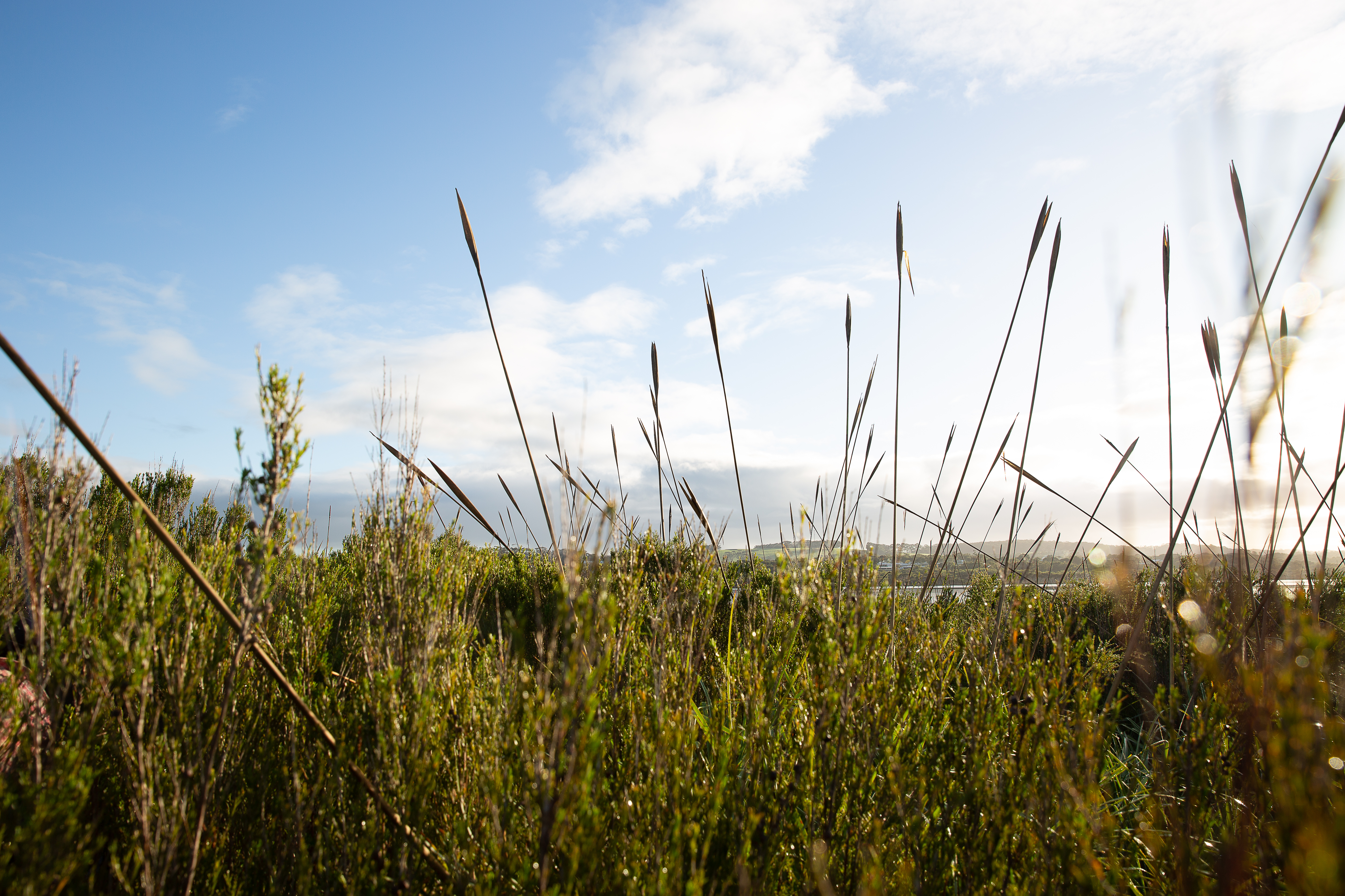 Image credit: Holly Winkle