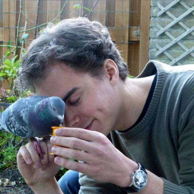 This is an image showing the author and a pigeon (not involved in the study). Edwin Dalmaijer (CC-BY 4.0, https://creativecommons.org/licenses/by/4.0/)