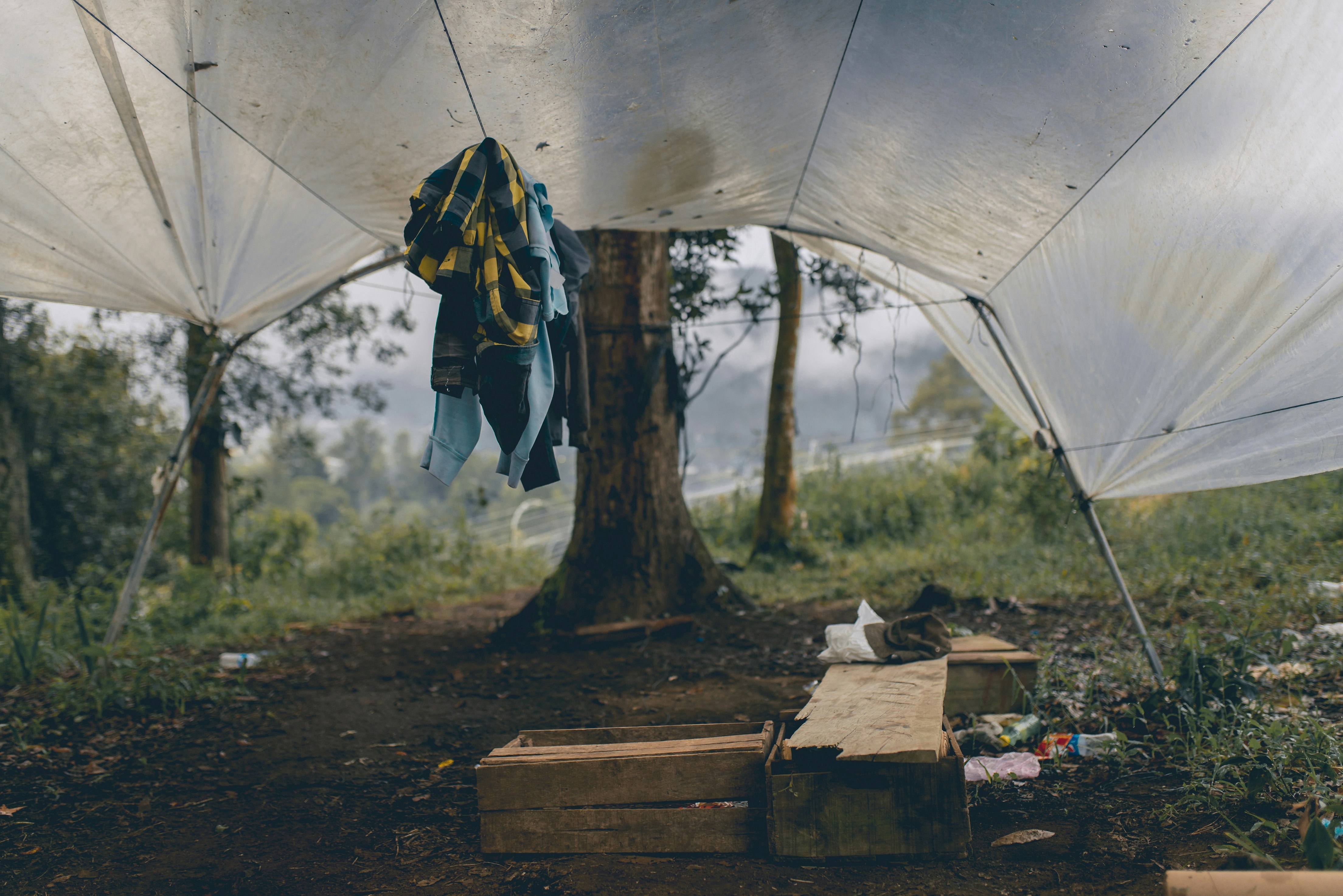 Photo by Toby Wong on Unsplash