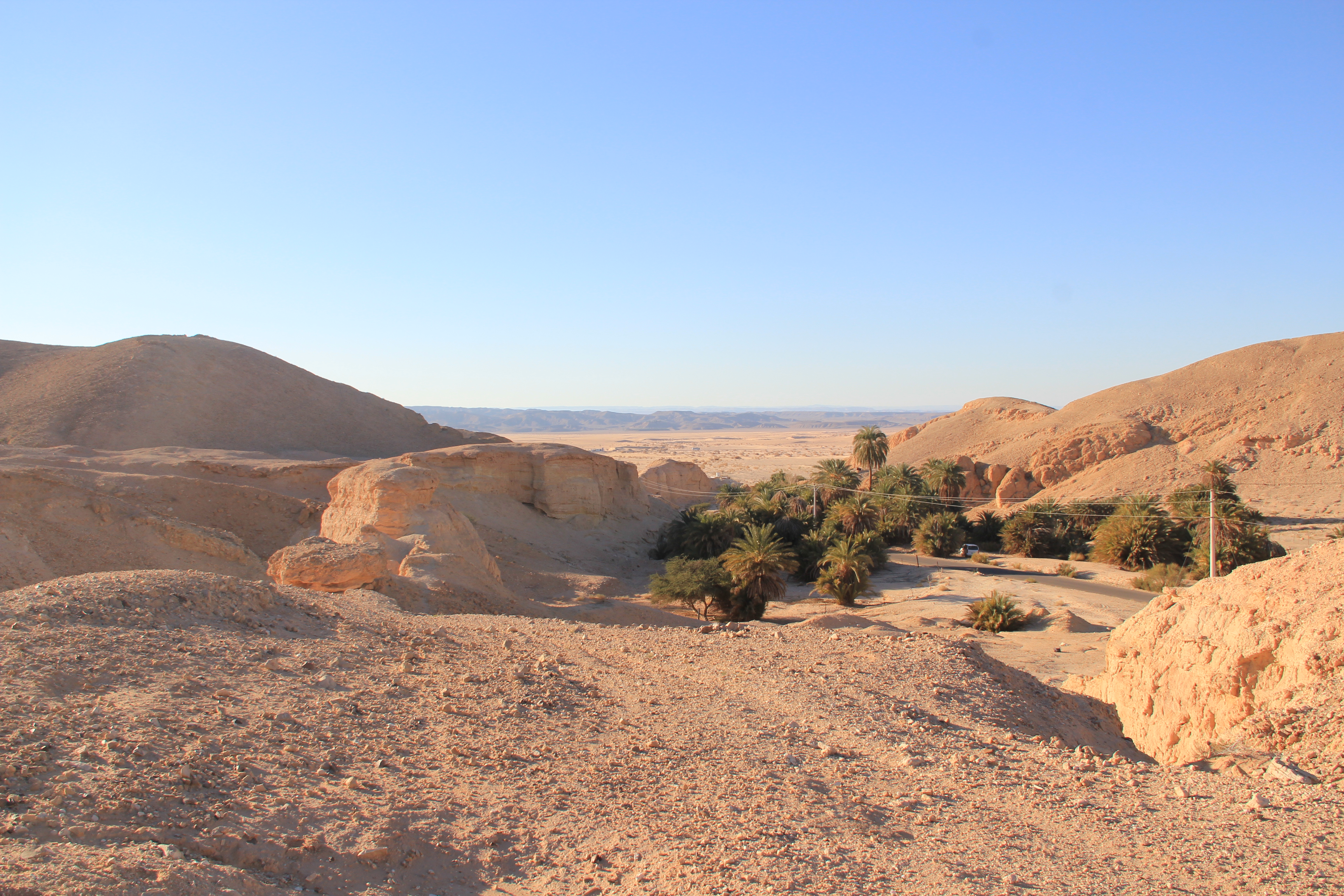 Fig. 3: A general view of Wadi Gharandal riverine wetland, along the Jordan Rift Valley, showing palm trees concentrated at the centre of the wadi near the active spring. Tilted sediments at the northern margin indicates the collapse of the dam, and the wetland sediments are deposited at both sides of the valley. Westwards is the Wadi Araba/Negev desert. Photo credit: Mahmoud Abbas, Shantou University. 
